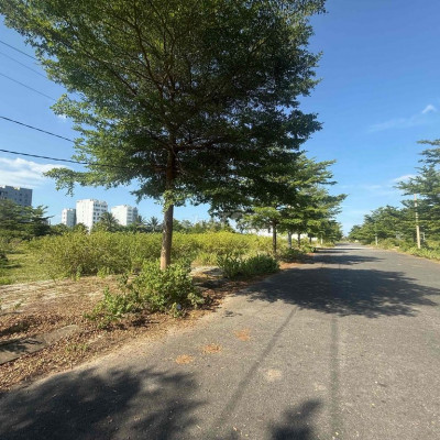 120m đường 10m5 hướng nam giá chỉ 3ty150