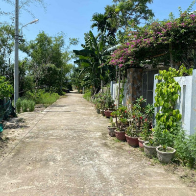 lô đất gần đường truc chính Thái Cẩm Điện Tiến