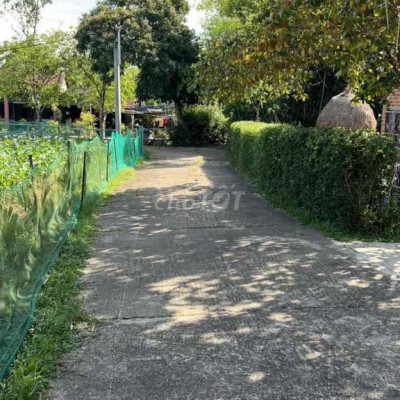 đất thổ cư nhà vườn diện tích lớn xã thăng phú, tp Đà Nẵng