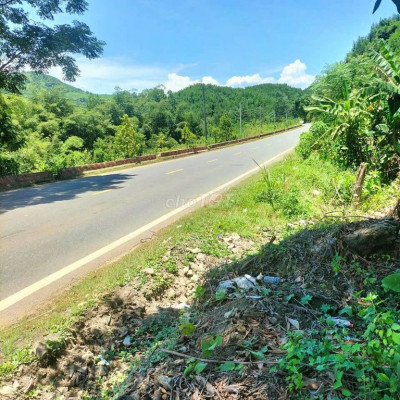 CẦN BÁN 3 HA RỪNG Mặt tiền ql14b Đại Sơn TP Đà Nẵng