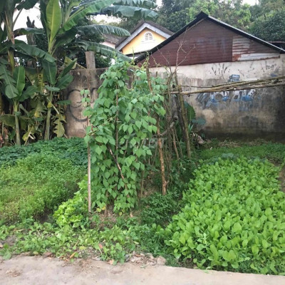 đất sổ đỏ mặt tiền trần thị lý -vĩnh điện