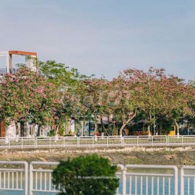 BÁN NHÀ MẶT TIỀN TRẢNG KÈO HỘI AN  DIỆN TÍCH LỚN  KIỂU VILLA CỰC ĐẸp