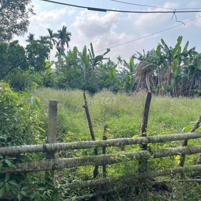 TÔI CHÍNH CHỦ CẦN BÁN ĐẤT THÔN NHƠN BỒI- Duy Thành- Duy Xuyên