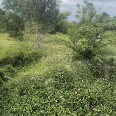 Mặt Tiền PHẠM NHƯ XƯƠNG - Điện Ngọc- ĐÀ NẴNG , Diện Tích 270 m2 ,