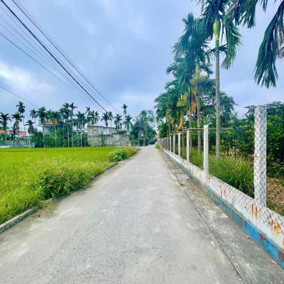 ĐẤT ĐIỆN TIẾN NGANG 5m5 ĐƯỜNG OTO CÁCH DT605 CHƯA TỚI 1km