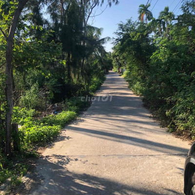 bán đất Cẩm Thanh