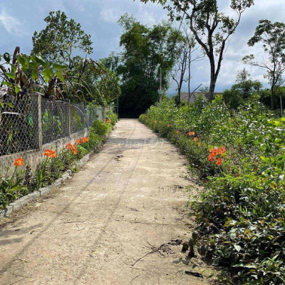 bán nhanh 150m2 đất thổ cư Đà Nẵng, giá rẻ 300TR