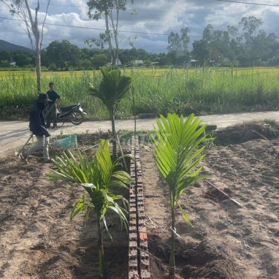 Bán lô đất nền TC ngang 12 ,330m, đường xe hơi,view đẹp giá tốt 790 tr