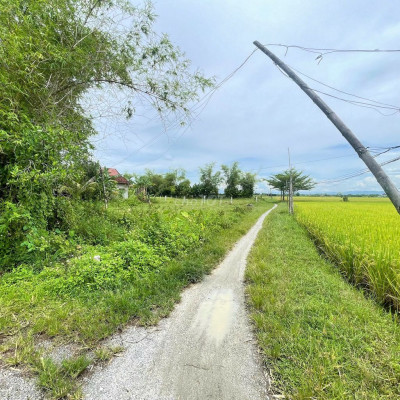 Bán lô đất đẹp chính chủ.Thăng Bình, Đà Nẵng. 280m ngang 10, 450 triệu