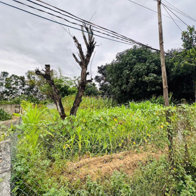 Đất khu du lịch sinh thái Hà Gia