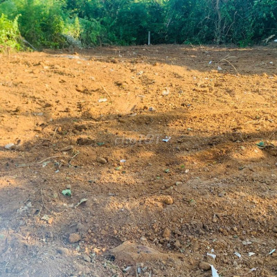 CHÍNH CHỦ MÌNH CẦN BÁN LÔ ĐẤT TẠI PHƯỜNG ĐIỆN BÀN BẮC .ĐƯỜNG NHỰA 7M G