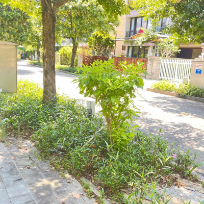 Bán lô đất đẹp cc: Đồng Dương,Thăng Bình giá mềm.ngang 12,790 triệu