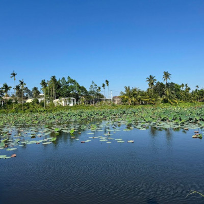 Cần tiền bán nhanh lô đất điện bàn đông- đà nẵng