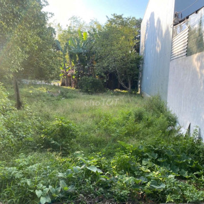 Chính Chủ cần bần lô đất 115.9m2 ở Phường‍ Điện‍ Bàn‍ Bắc