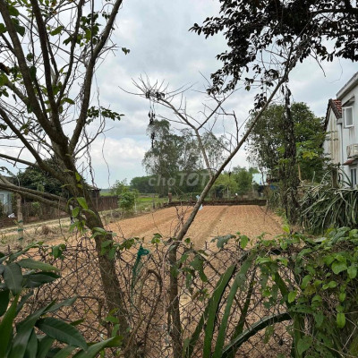 chính chủ bán đất đường DT Bình Quý, Thăng Bình, Quảng Nam (Đà Nẵng)