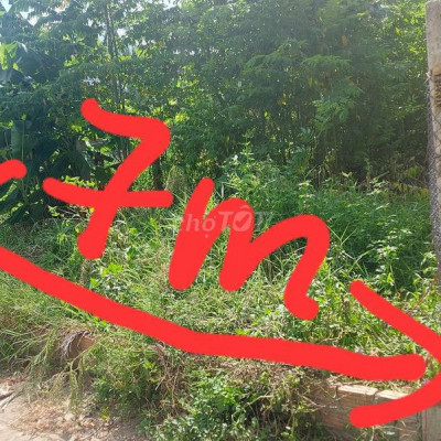 Gđ cần tiền cần ra nhanh lô đất tâm huyết xã Điện Hồng (cũ)