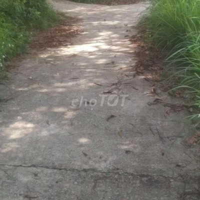 Cần cho thuê lô đất vườn tại xã quế châu, huyện Quế Sơn