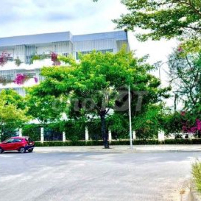 Gấp! Biệt thự 250m²,view công viên, đối diện ĐH Y Phan Châu Trinh