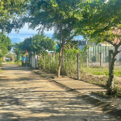 Bê Tông Chính Hà Dừa Dũng Sỉ Điện Ngọc, Gần Chợ, Trường Học, KCN