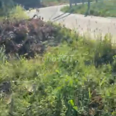 bán đất khai hoang duy hải gần chợ cá