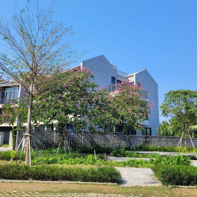 Cho thuê nguyên căn hoặc hợp tác hoàn thiện vận hành