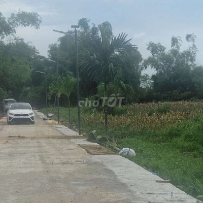 Bán đất gần Hội An với 300m² chỉ 1 tỷ, đầu tư siêu tiềm năng!