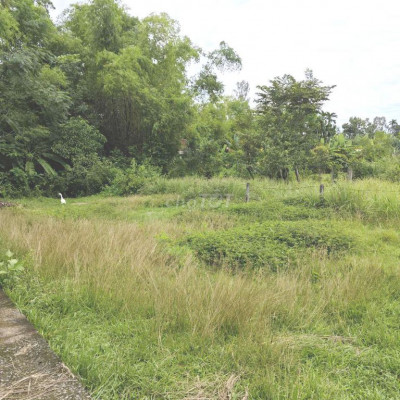 🔥 BÁN GẤP LÔ ĐẤT ĐẸP 210㎡ ĐÃ CÓ SỔ TẠI TRUNG TÂM HUYỆN PHÚ NINH 🔥