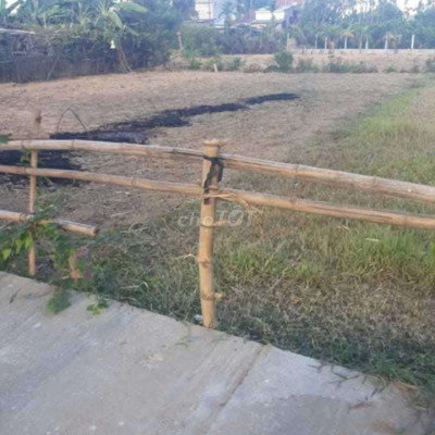 Đất đại nghĩa đai lôc