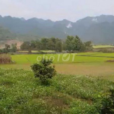 bán nhanh lô đất vườn xã Thu Bồn, TP. Đà Nẵng Dt 2300 mv