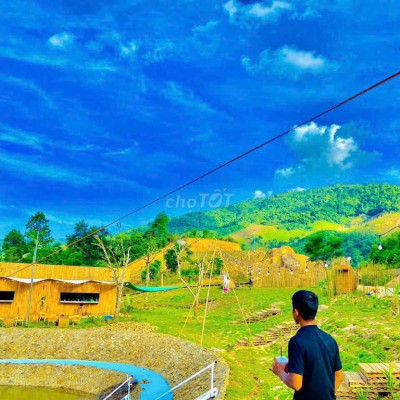 Bán khu vườn sinh thái Đà Nẵng. Mời cả nhà
Vườn Đà Nẵng gần 10.000m2