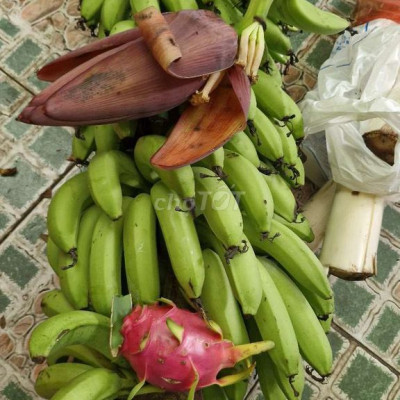 Nhà c4 vườn xanh mướt cây trái