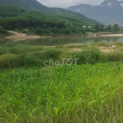 Vườn Views sông bám suối bám đường bê tông 18000
có 1340m đất ở