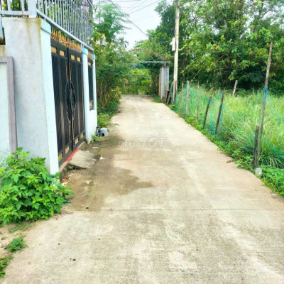 Bán Nhanh Lô Đất Bê Tông Tứ Câu Điện Ngọc 100m2 giá rẻ