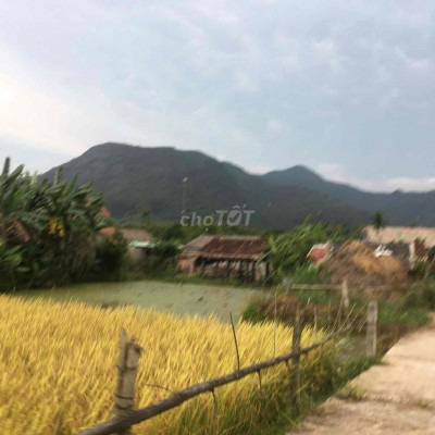 Đất có thổ cư 485m2 2 lô