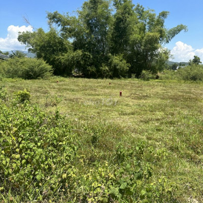 Cần ra đi lô đất đại hiệp, chính chủ . Cần tiền trả nợ nên bán gấp