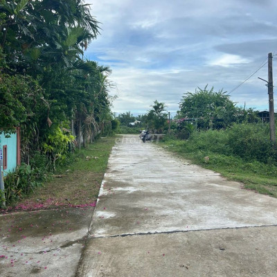 Đường bt 5m ở Phong Lục Tây ,Đ.Thắng Nam giá chỉ 1,050tỷ