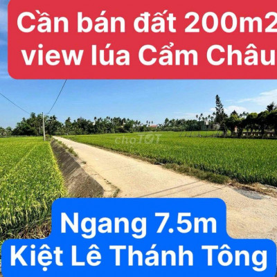 Cần bán lô đất view lúa Cẩm Châu Hội An