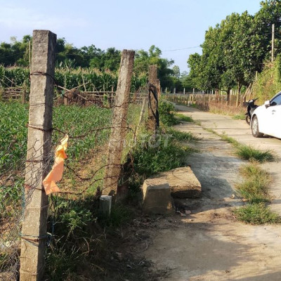 🏡 BÁN GẤP LÔ ĐẤT ĐẸP NGAY TRUNG TÂM HUYỆN DUY XUYÊN, SỔ ĐỎ CHÍNH CHỦ