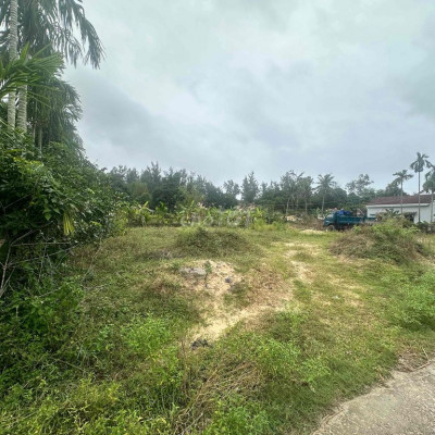 Đất sổ đỏ chính chủ 200m2, cách trục chính đường biển 500m