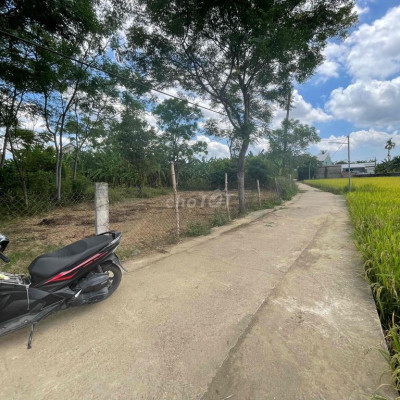 370m2 Đất Điện Hồng Điện Bàn - Gần khu Bồ Bồ Đường DT 605