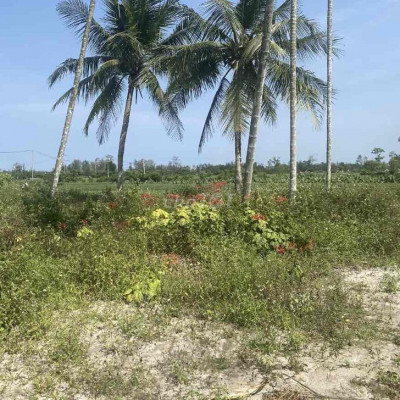 lô Đất đẹp diện tích lớn view lúa xã Bình Giang, Thăng Bình