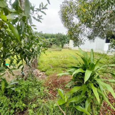 Đất mặt tiền đường khu Đô Thị