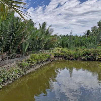 Chính chủ bán đất Cẩm thanh, Hội an, diện tích 532 m2, full thổ cư