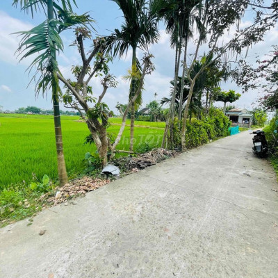 5xxtr Sở Hữu đất Điện Hồng 130m2 Đất ở 100% - Gần đường chính